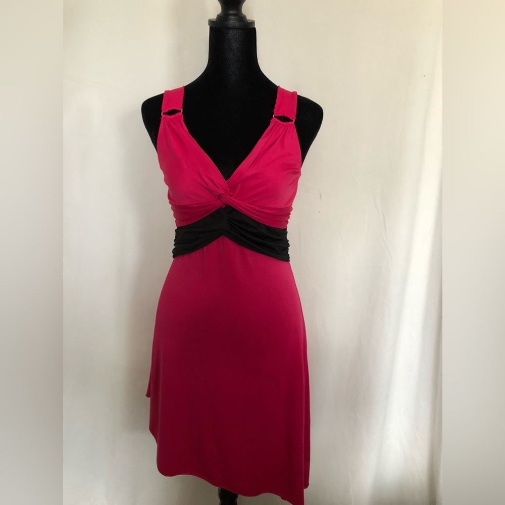 Fancy Pink Artsy Dress